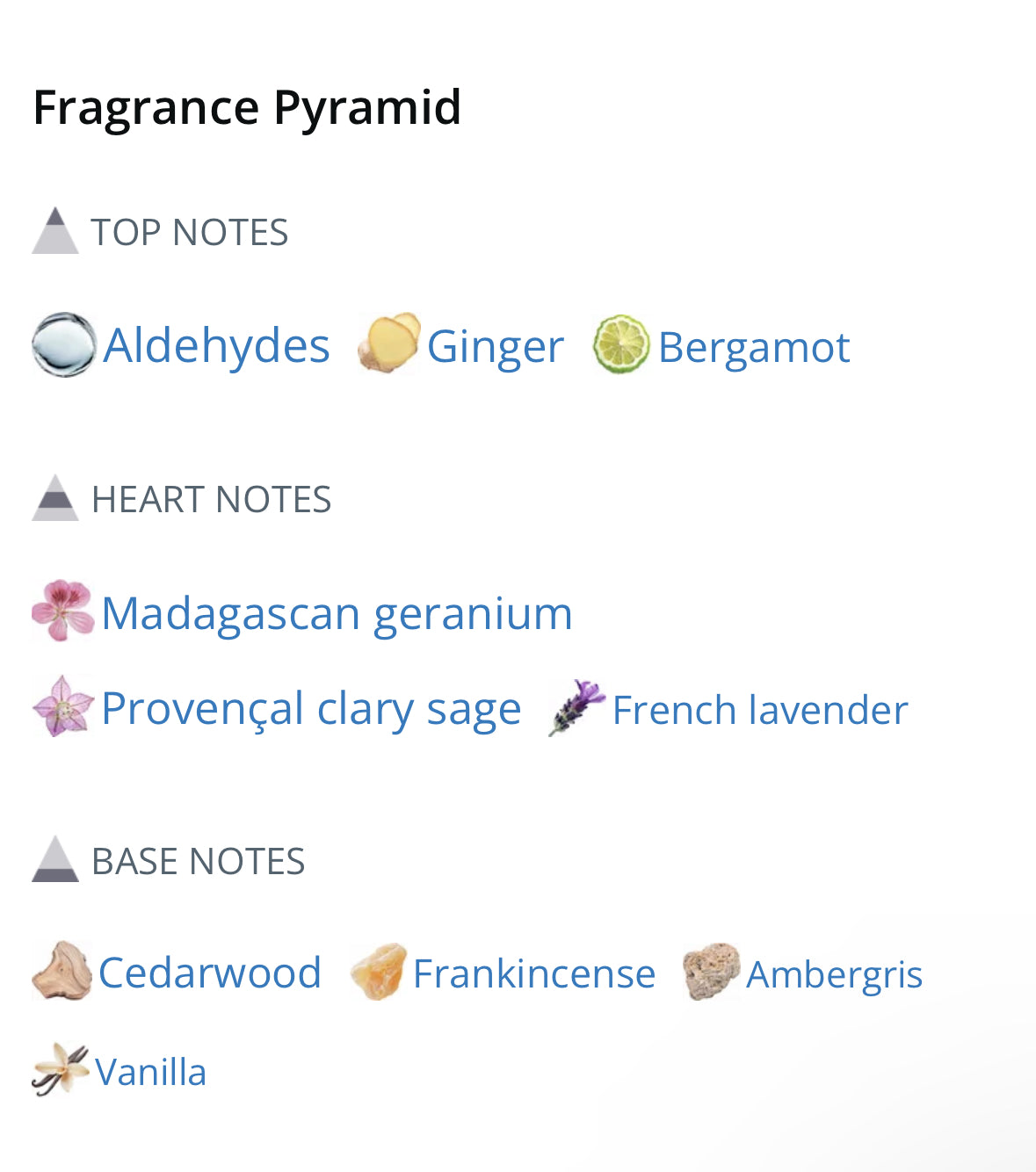 YSL Y EDT